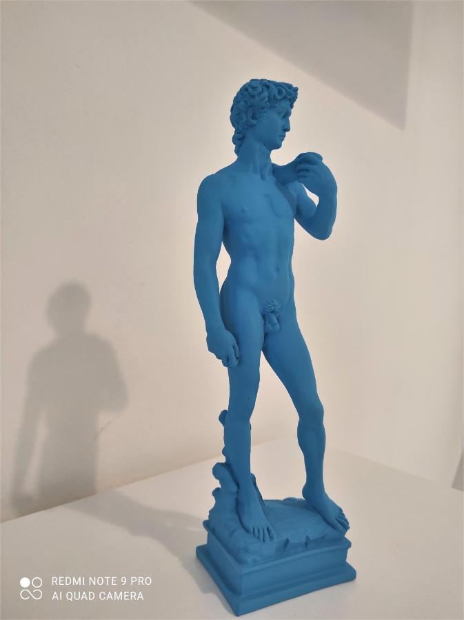 Dependace Il David Di Michelangelo Apartamento Florencia