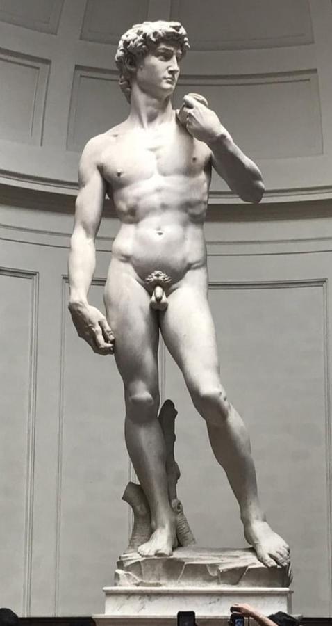 Apartamento Dependace Il David Di Michelangelo